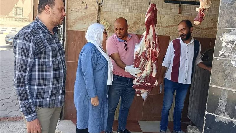 تموين المنيا