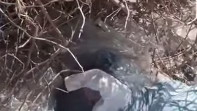 رضيع في مقلب قمامة بالمنيا.. و«ملاك الرحمة» ينقذه ويطلب تبنيه