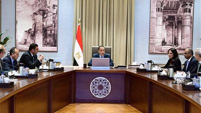 رئيس الوزراء يلتقي الرئيس التنفيذي لشركة 