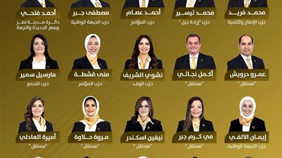 تعرف على مرشحي تنسيقية شباب الأحزاب في انتخابات مجلس النواب 2025