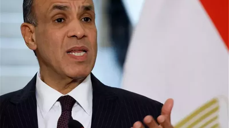 السفير بدر عبدالعاطي،