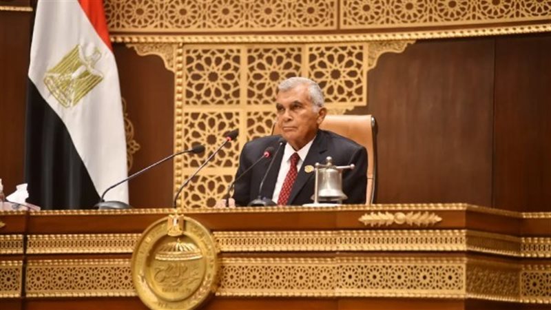 المستشار عصام الدين