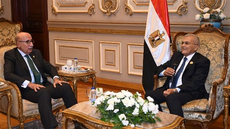 جانب من اللقاء 