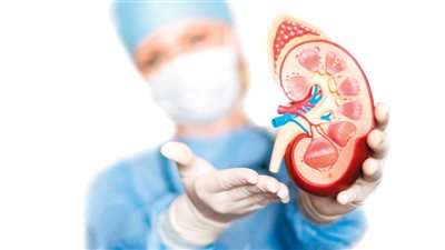 جسدك ملكك أم أمانة من الله؟.. التبرع بالأعضاء يشعل الخلاف بين الفقه والطب