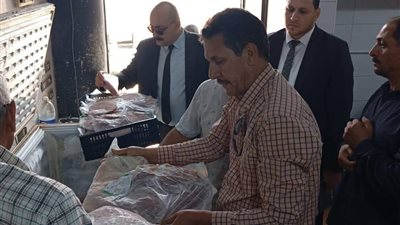 المنيا: ضبط مصنع ألبان مخالف و800 كيلو منتجات فاسدة خلال حملة رقابية مفاجئة