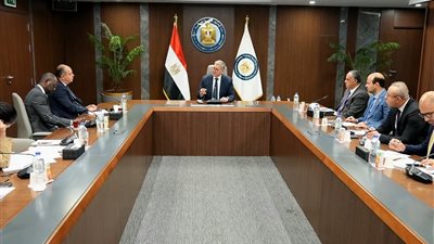 وزير البترول يبحث مع مؤسسة التمويل الإفريقية جذب استثمارات جديدة لقطاع التعدين