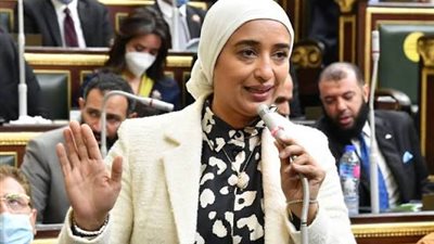 أبو شقة تطالب بتعديل قانون سن الطفل المصري ليتناسب مع طبيعة الجريمة 