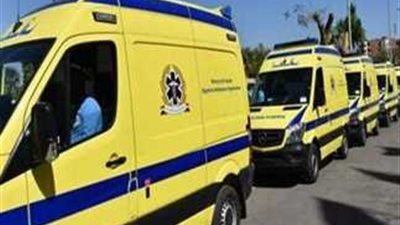 إصابة 6 أشخاص في تصادم سيارتين بطريق الصعيد الزراعي بالمنيا