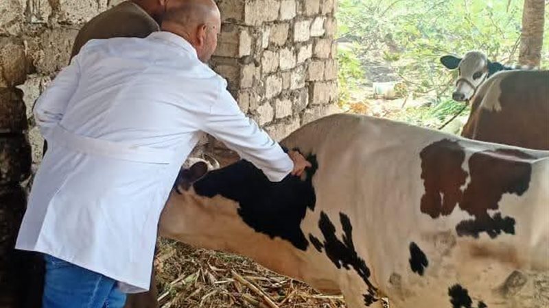 بيطري المنيا