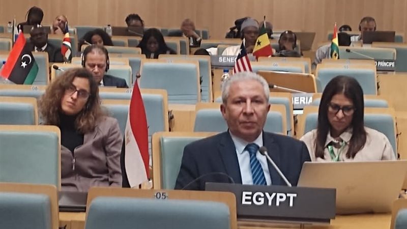 جانب من المشاركة