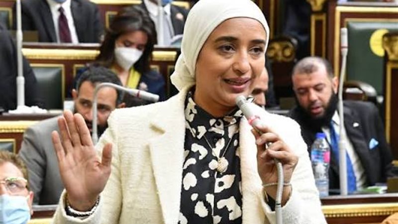 النائبة أميرة أبو