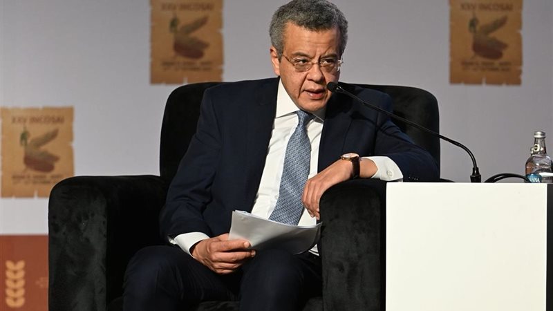 المستشار محمد الفيصل