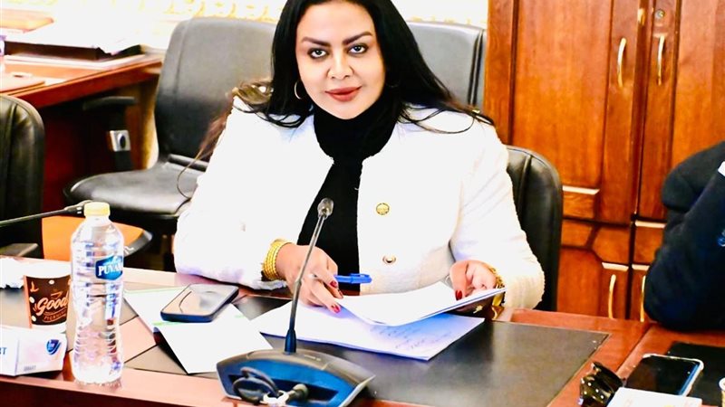 النائبة نيفين حمدي،