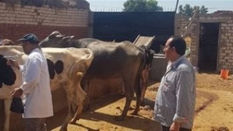 حملة تحصين ضد الحمى