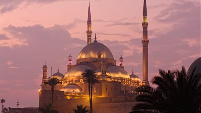 لزيارة المتاحف والمواقع الأثرية مجانًا.. خطوات حجز الرحلات المدرسية عبر منصة رحلة