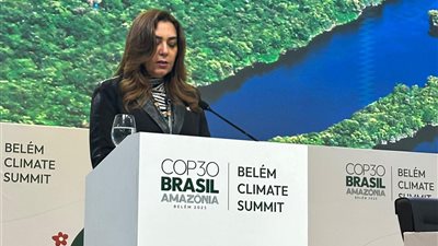 التنمية: التمويل الجماعي الجديد يجب أن يستند إلى أولويات واحتياجات الدول النامية