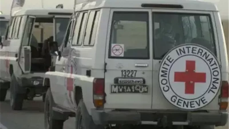 الصليب الاحمر