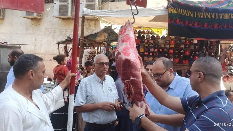 تموين المنيا 