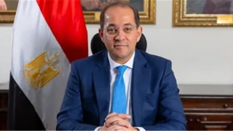 وزير المالية