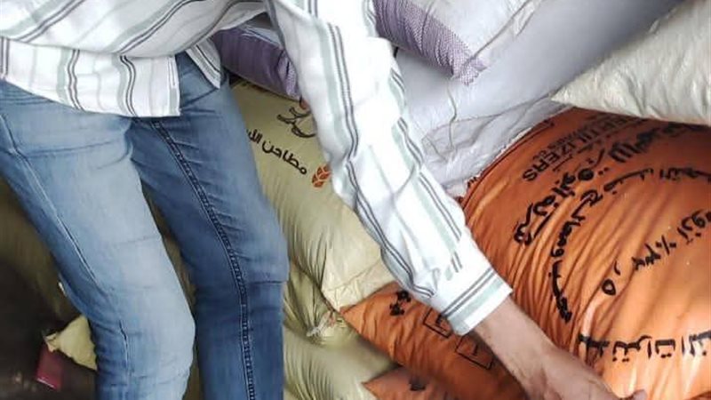 تموين المنيا 