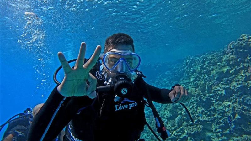 صورة من الحملة 