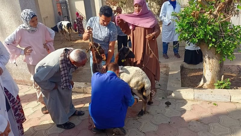 دعم صغار المربين