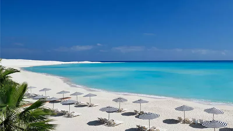 مشروع علم الروم