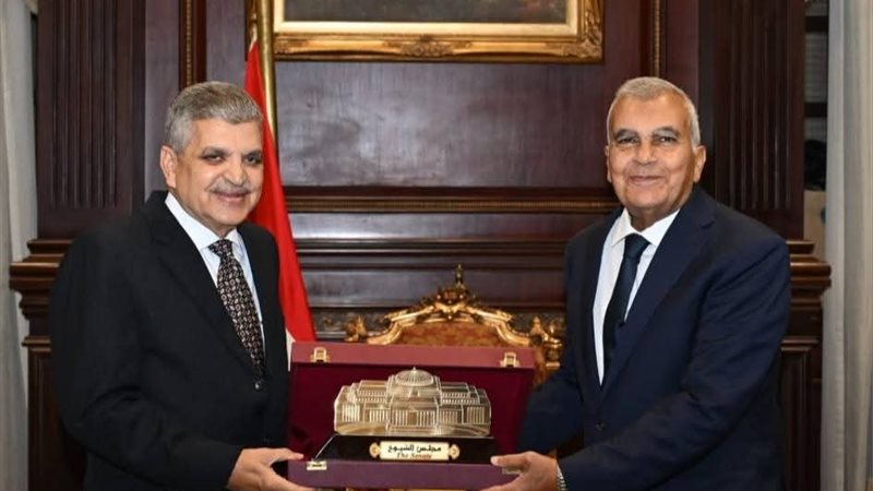 المستشار عصام فريد