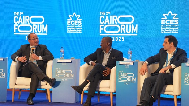 وزير المالية