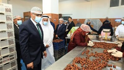 محافظ الجيزة: الواحات البحرية تمتلك مقومات زراعية وصناعية فريدة ونسعى لتحويلها إلى مشروعات إنتاجية