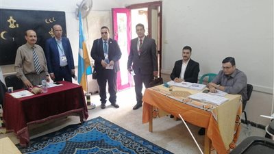 المنظمة العربية لحقوق الإنسان ترسل وفدًا أجنبيًا لمتابعة سير الانتخابات في الإسكندرية
