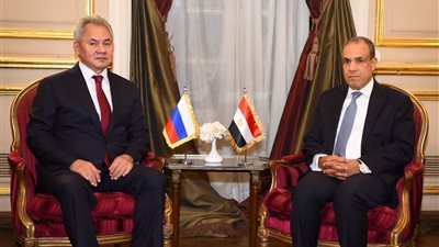 من أجل تحفيز الاستثمارات.. وزير الخارجية يستقبل سكرتير مجلس الأمن الروسي في القاهرة