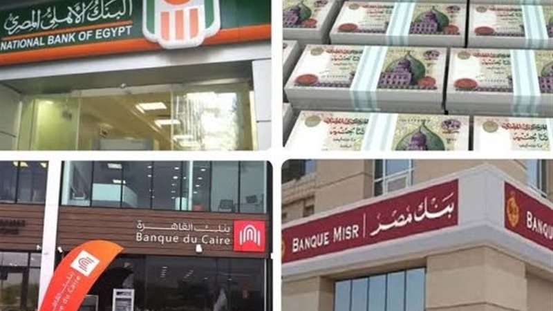 البنوك المصرية 