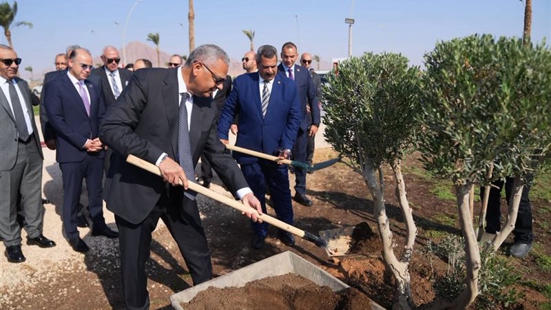 الدكتور محمد فريد