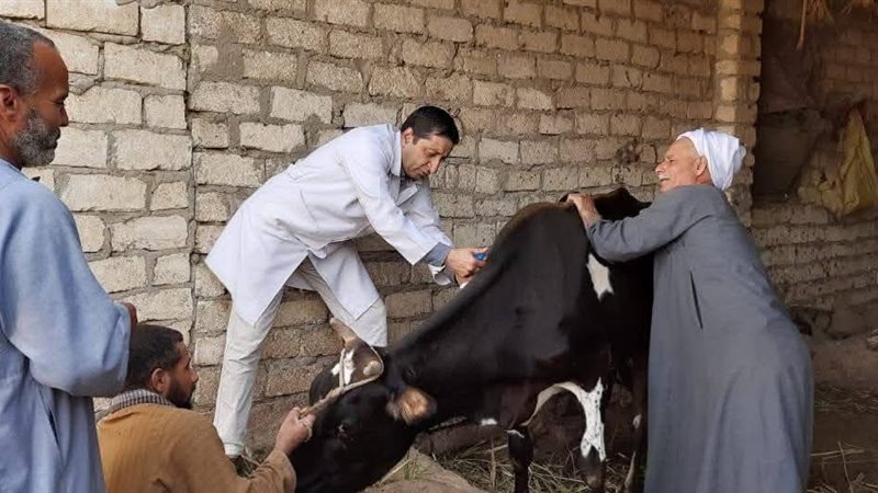 بيطري المنيا 