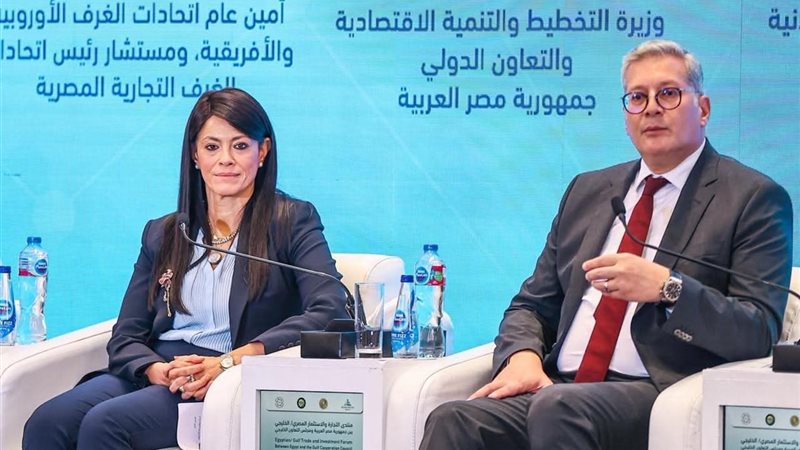 وزيرة التخطيط 