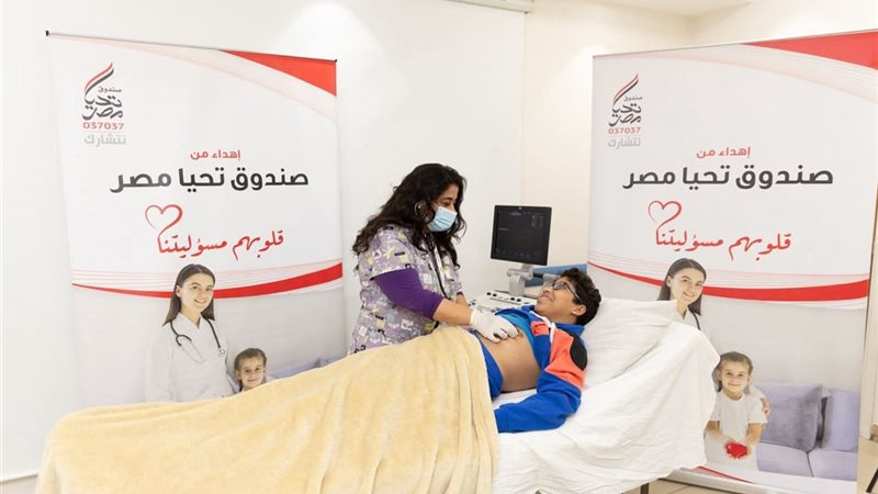 صندوق تحيا مصر 