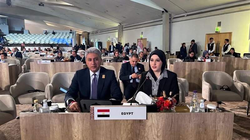 جانب من مشاركة وزير