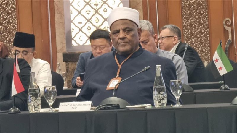 الدكتور عباس شومان