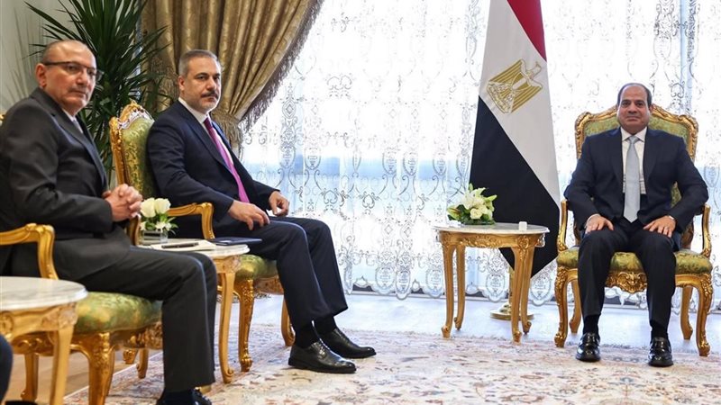 الرئيس السيسي ووزير