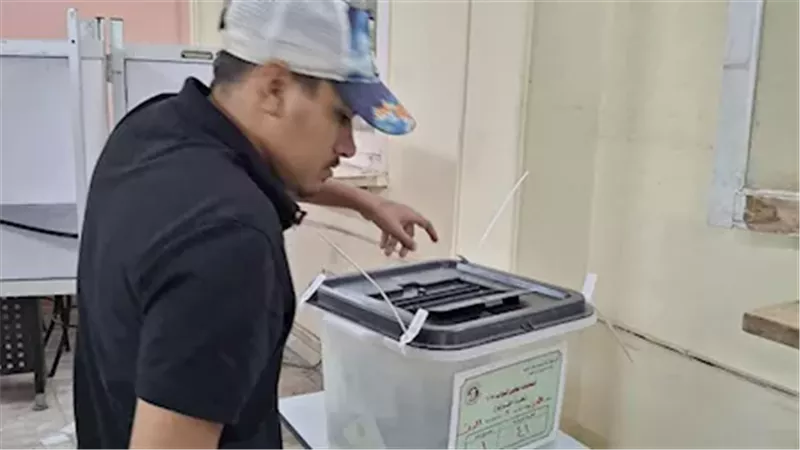 فرز انتخابات المنيا