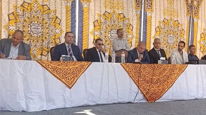 نتيجة انتخابات المنيا