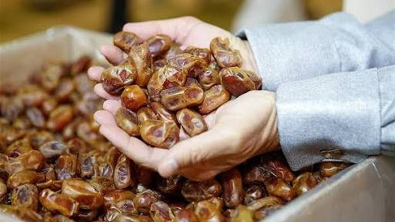 التمور المصرية 