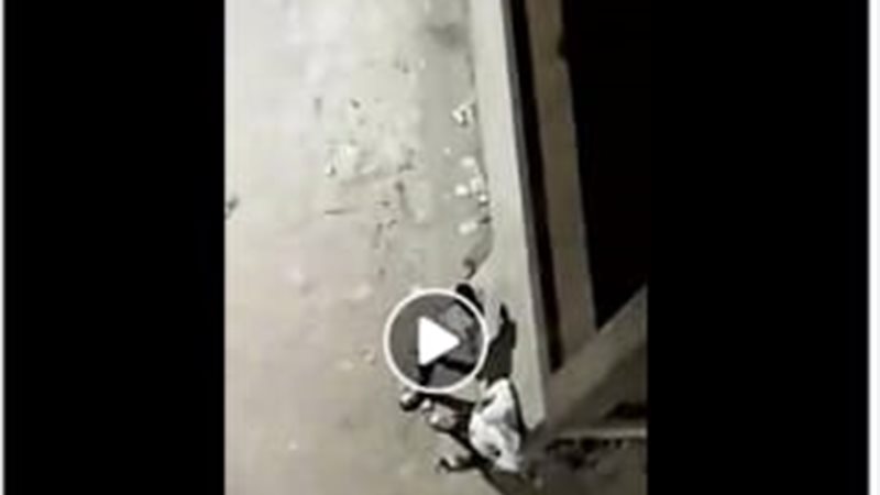 جانب من الواقعة 