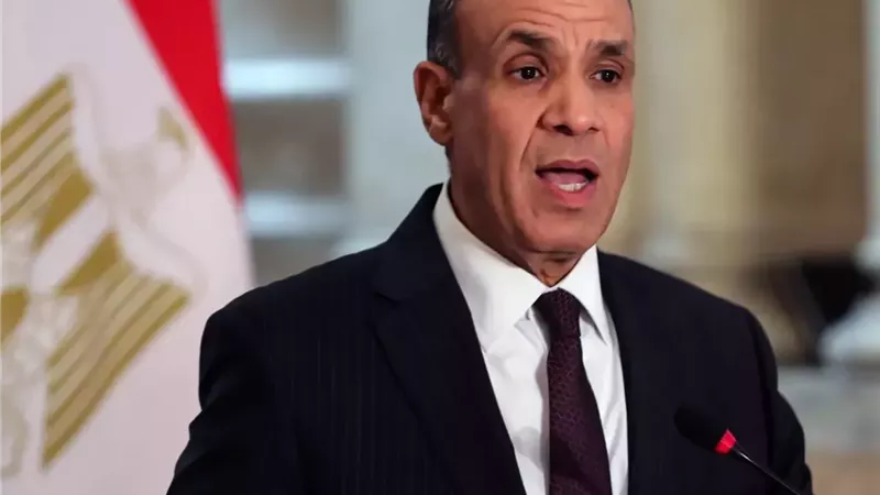 بدر عبد العاطي