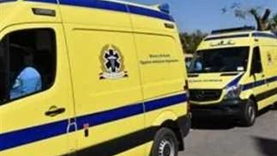 السرعة تنهي حياة طالب وتصيب آخر في حادث مروع بقرية طنبدى بالمنيا