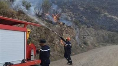 النيران تلتهم ولايات جزائرية: 22 حريقاً في ليلة واحدة وعمليات الإخماد تتواصل وسط رياح عاتية