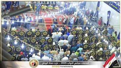 حزب حماة الوطن ينظم مؤتمرا جماهيريا بالسويس دعما لمرشحه بانتخابات النواب