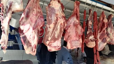 سؤال برلماني عاجل للحكومة حول فضيحة اللحوم الفاسدة بشبرا الخيمة