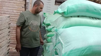 تحرير 220 مخالفة خلال حملات رقابية مكثفة على المخابز والأسواق بالمنيا 